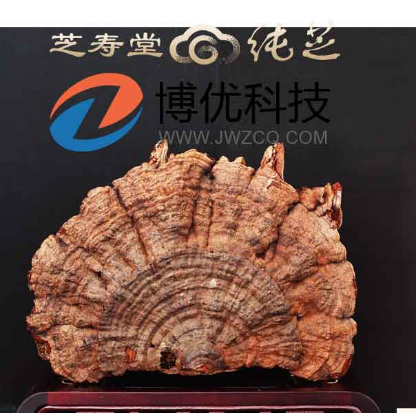 重慶洋世達(dá)實(shí)業(yè)(集團(tuán))有限公司旗下北京芝壽堂健康管理有限公司委托我司網(wǎng)站。正是看中我司強(qiáng)大的技術(shù)團(tuán)隊(duì)和多年的建站經(jīng)驗(yàn)。